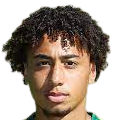 https://img.hyslbzc.com/img/football/player/347a6d58ae7ec0425a4d42bc9215c411.png