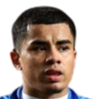 https://img.hyslbzc.com/img/football/player/bd7833ad28a23f00751787d125266400.png