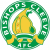 https://img.hyslbzc.com/img/football/team/117b9f710567cff1ff00b73ceca460da.png