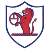 https://img.hyslbzc.com/img/football/team/11fb72f7b5eacfc881ee11bac75871fa.png