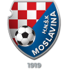 https://img.hyslbzc.com/img/football/team/14e131a042514a4196f8a471e175e8c4.png