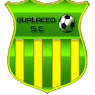 https://img.hyslbzc.com/img/football/team/3dfa700c1f084e5a18fc926d6f7ae427.png