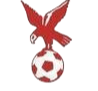 https://img.hyslbzc.com/img/football/team/4802d26df935b78bb2fcdbbff36e8864.png