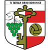 https://img.hyslbzc.com/img/football/team/5b01c52c68b4b145d880a9e8326aec3b.png