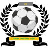 https://img.hyslbzc.com/img/football/team/6dc6d59af2f0962597b412473a6708ee.png