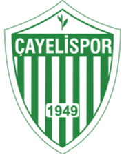 https://img.hyslbzc.com/img/football/team/98ef16297a173b12921045619237aea5.png