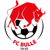 https://img.hyslbzc.com/img/football/team/b201265fa89720bf8cd8ef95549a4738.png